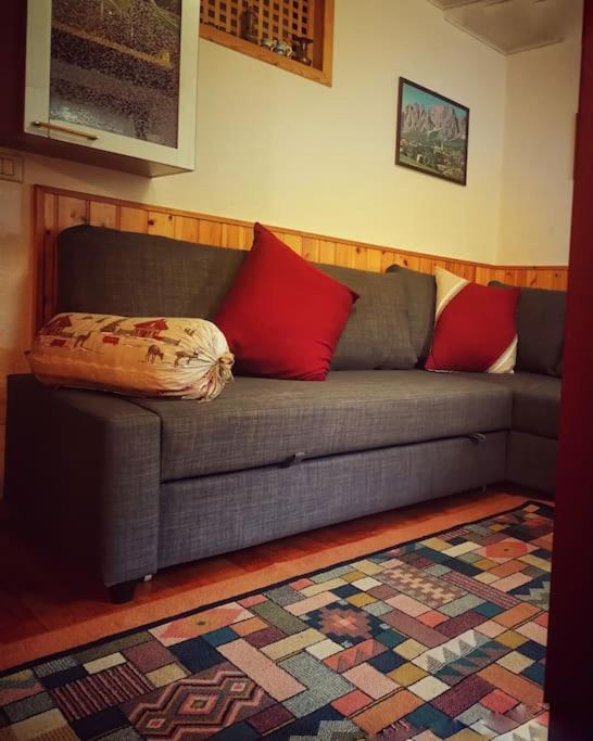 Cozy Alpine House Di Svaizer Διαμέρισμα San Martino Di Castrozza Εξωτερικό φωτογραφία